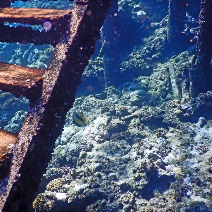 Sport & Freizeit Three Corners Sea Beach Resort