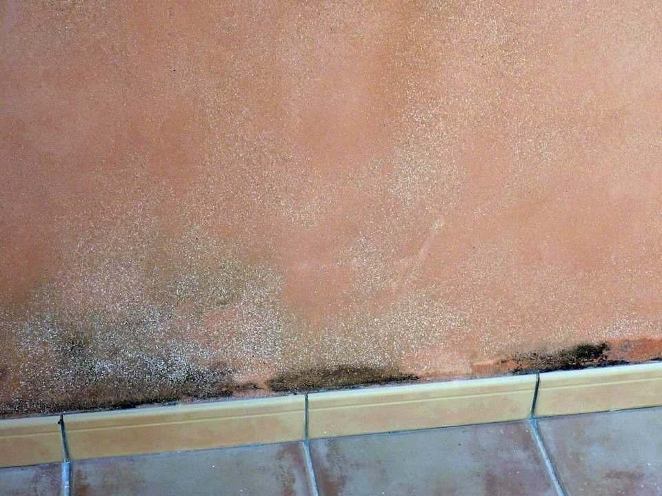 Balkon mit Schimmel Fiesta Americana Punta Varadero