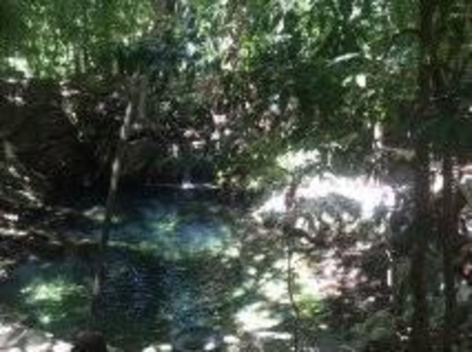 Cenotes Sandos Caracol Eco Resort & Spa Select Club Adults only - All Inclusive