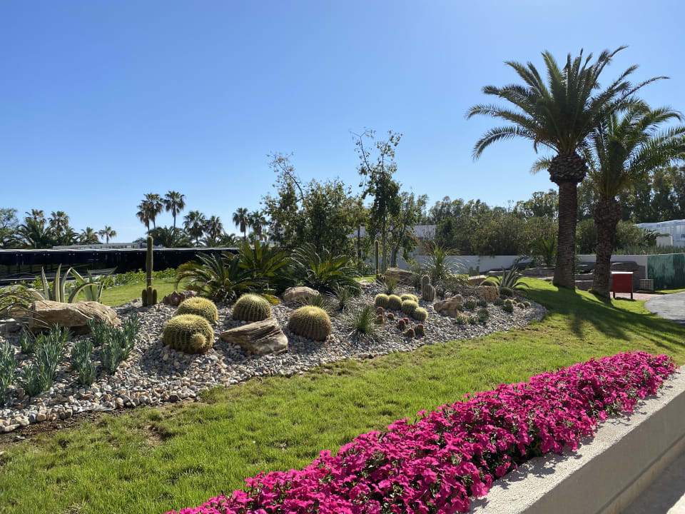 Gartenanlage Monachus Family Resort Sorgun