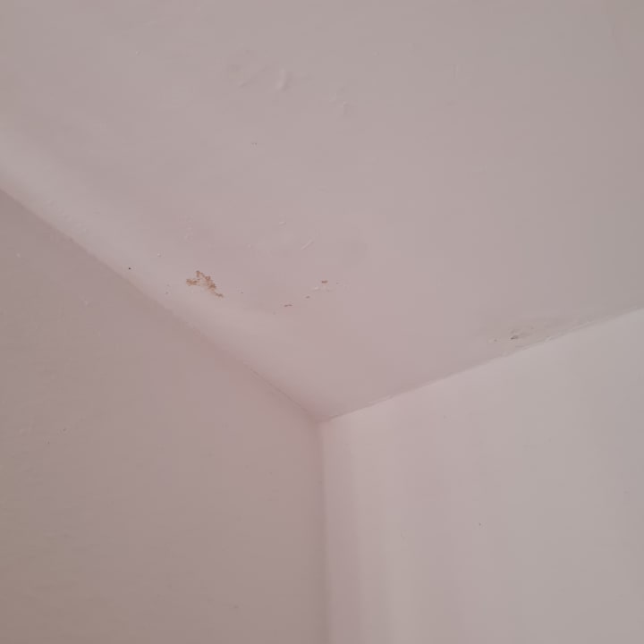 Zimmer Ferienwohnung Drei Eichen II