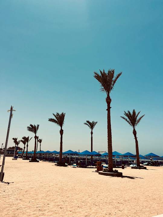 Strand Pickalbatros Sea World Resort - Marsa Alam