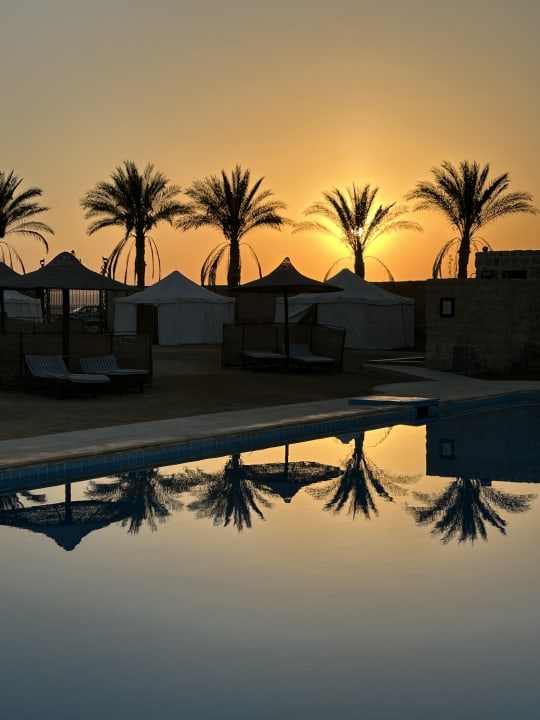 Pool The Oasis Dive Resort