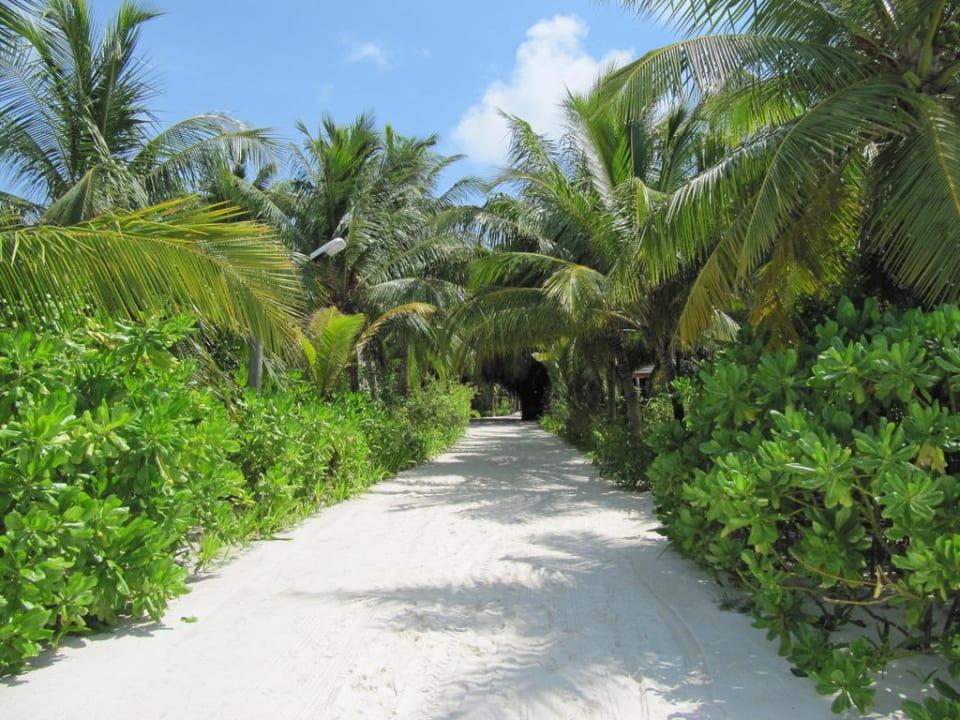 Weg vom Steg zur Insel Kuredu Island Resort & Spa