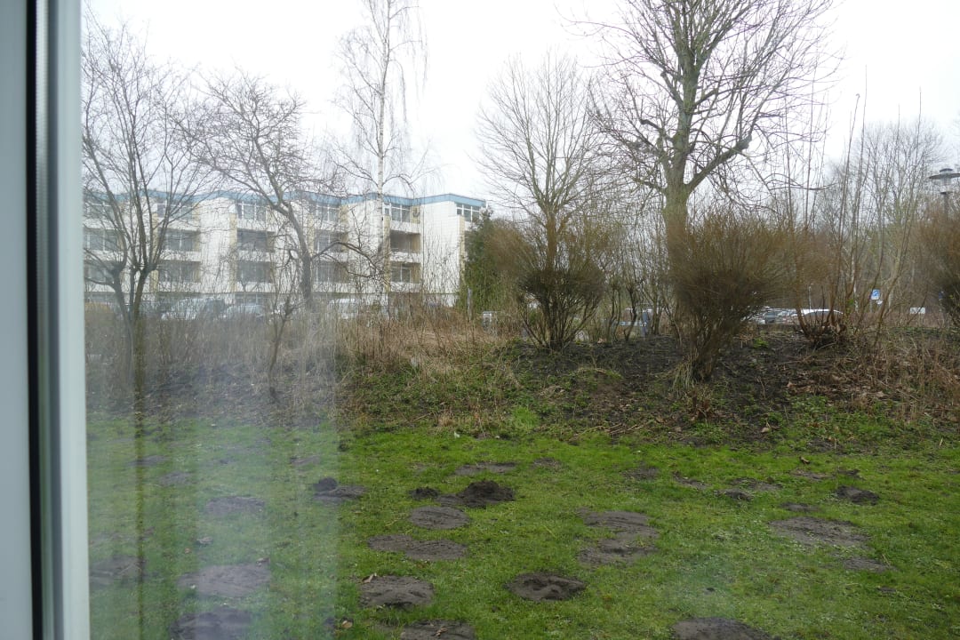 Ausblick Ferienwohnungen Ferienpark Weissenhäuser Strand