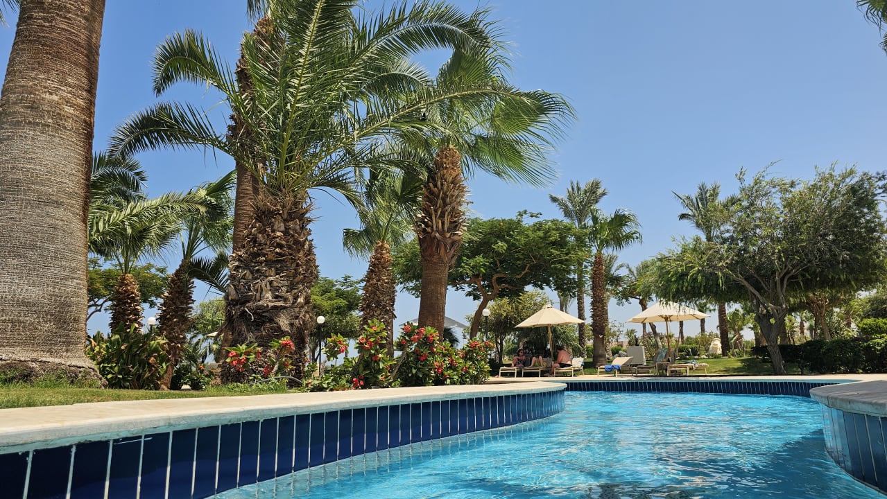Pool Steigenberger ALDAU Beach Hotel