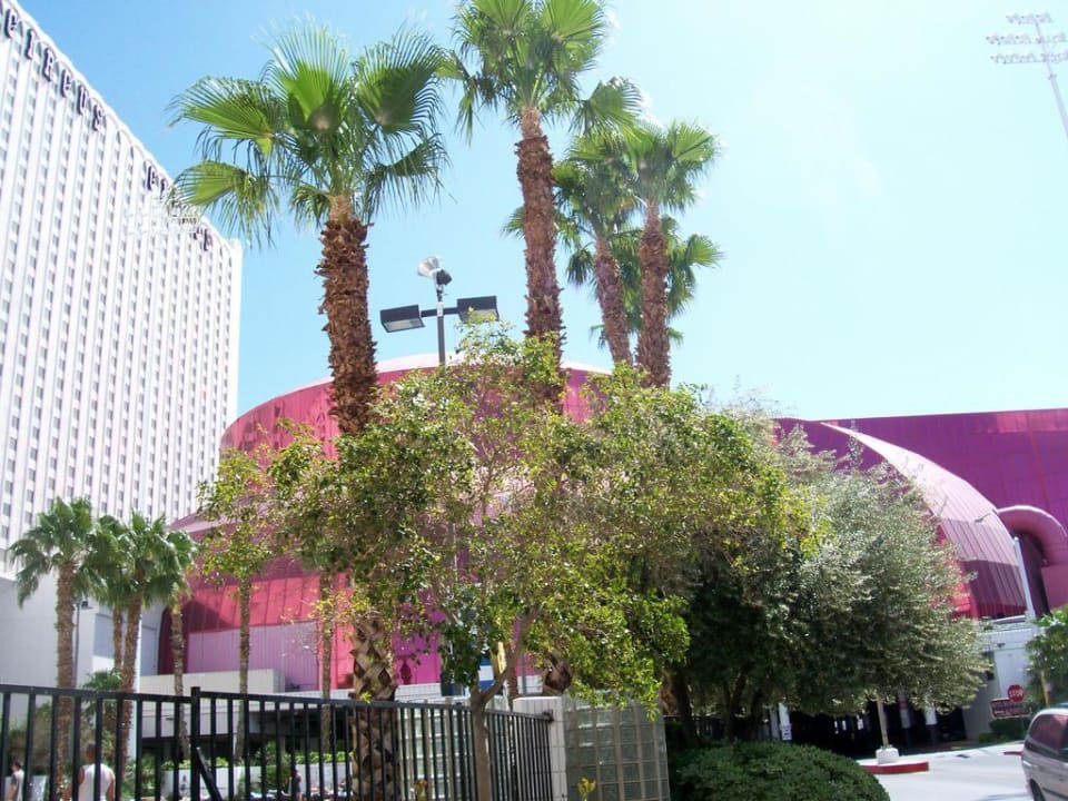 Adventure Dome Hotel Circus Circus