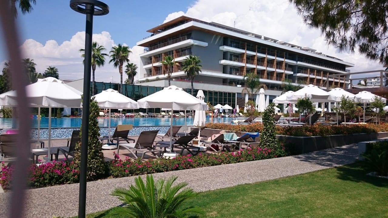 Schön. Acanthus Cennet Barut Collection