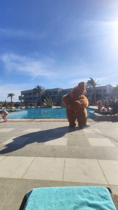 Pool Steigenberger Resort Ras Soma