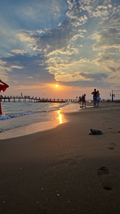 Strand Arum Barut Collection