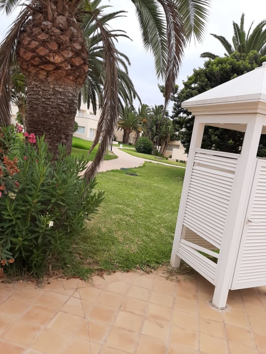 Gartenanlage Hotel Riu Oliva Beach - Hotel