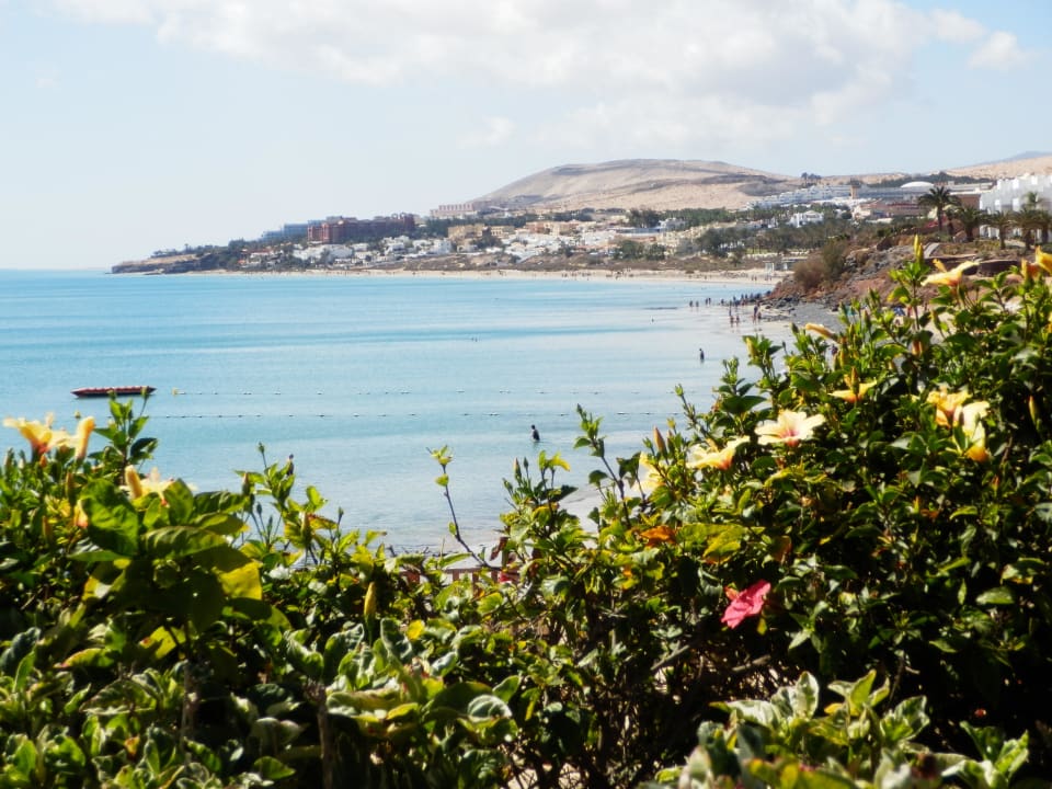 Ausblick vom Hotelgarten SBH Costa Calma Beach Resort