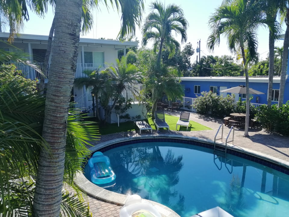 Pool The Jasmine Apartments