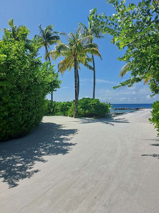 Ausblick OBLU XPErience Ailafushi