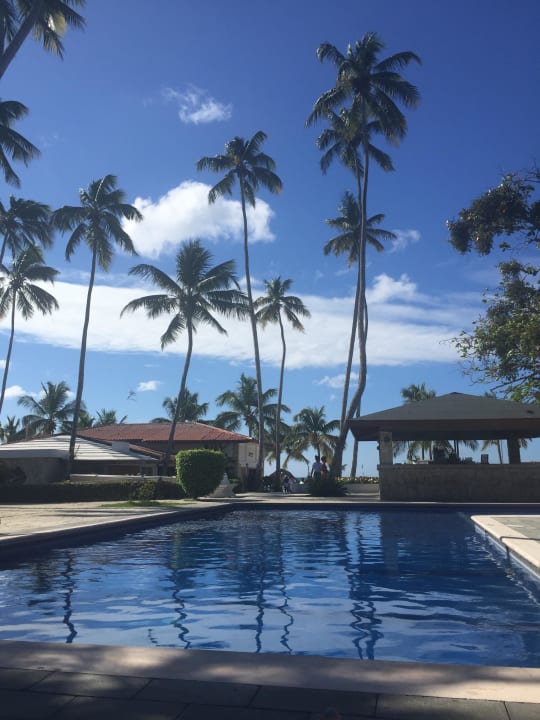 Pool whala!boca chica