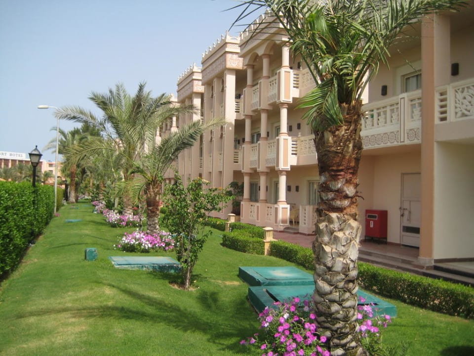 Zimmer zur Seitenstraße Pickalbatros Palace Resort