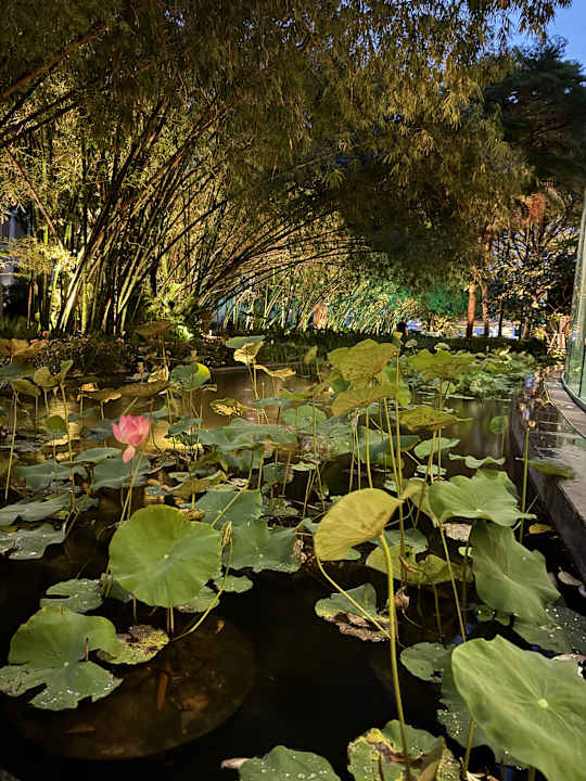 Gartenanlage Chatrium Hotel Riverside Bangkok