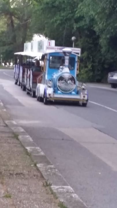 Kleine Bahn fährt vom Hotel nach Albena hin und zu Hotel Borjana