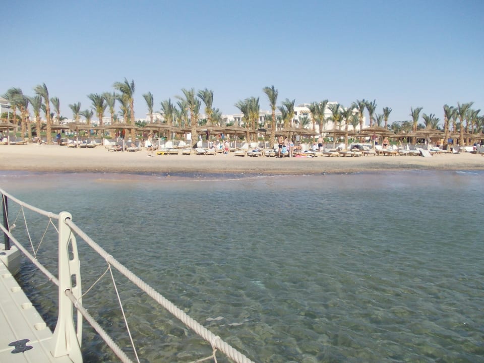 Blick vom Steg zu den Strandliegen Pickalbatros Palace Resort