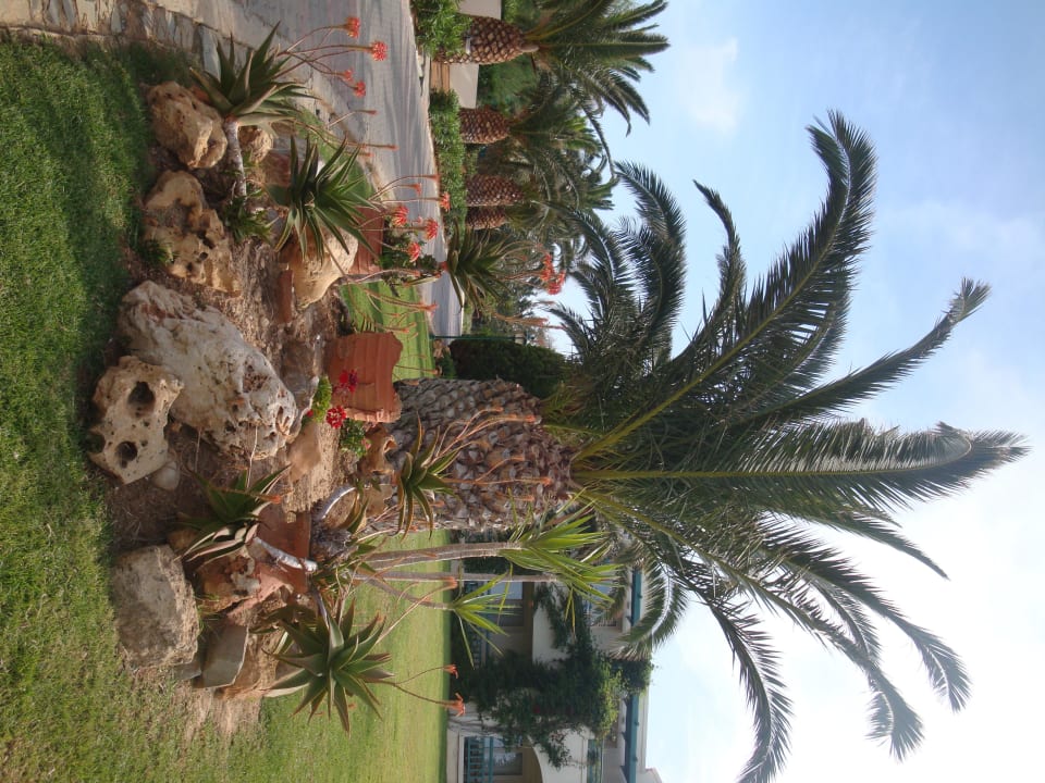 Teil der wunderschönen Gartenanlage Iberostar Selection Creta Marine