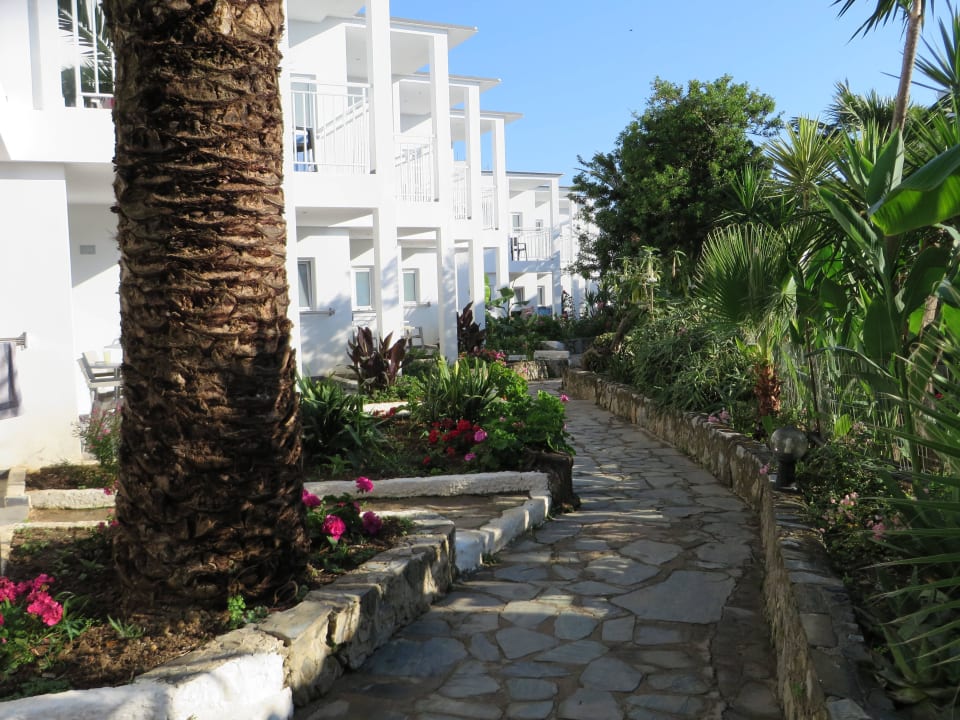 Weg zu den Zimmern und zum Strand HARPIN Happy Days Beach Hotel