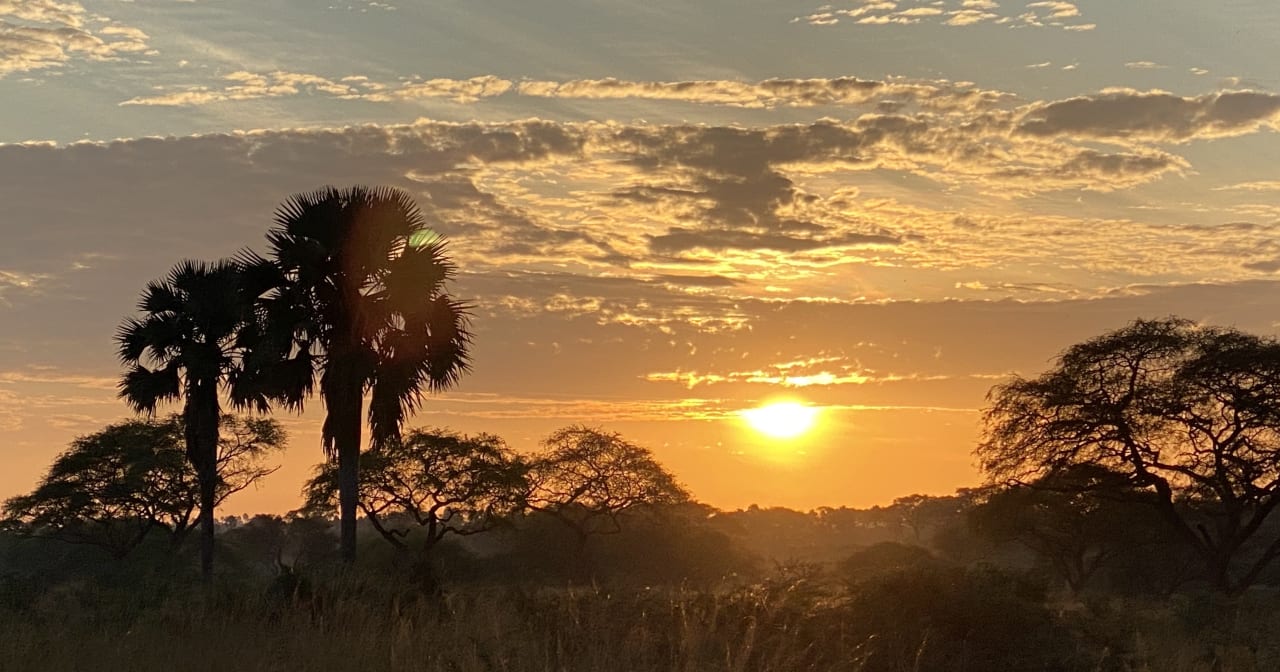 Ausblick Pakuba Safari Lodge