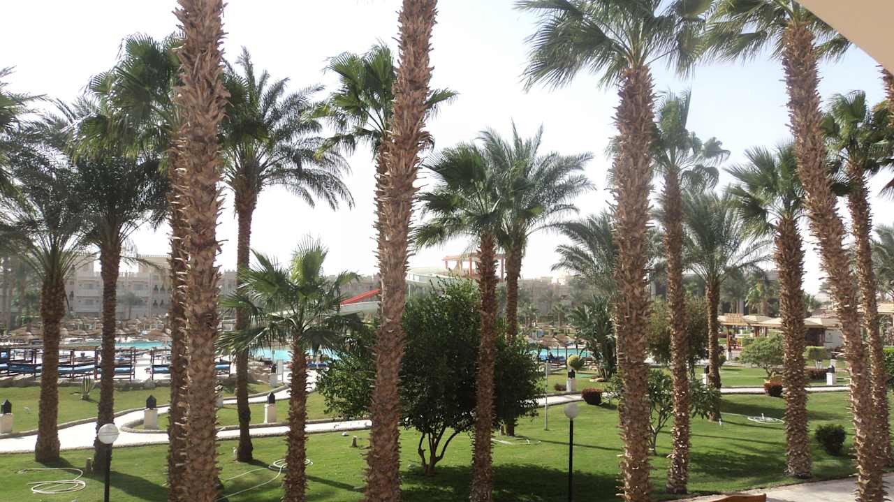 Blick in die Poolanlage Beach Albatros Resort