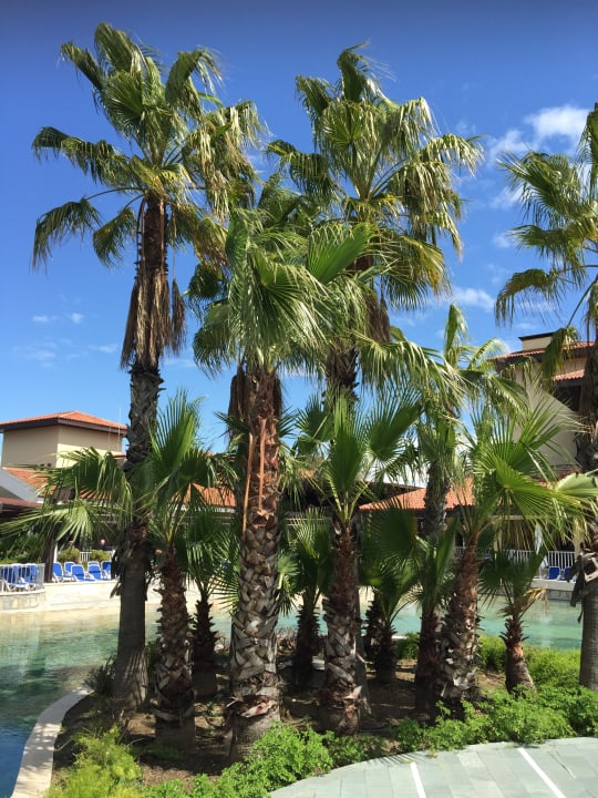 Ausblick Club Grand Aqua