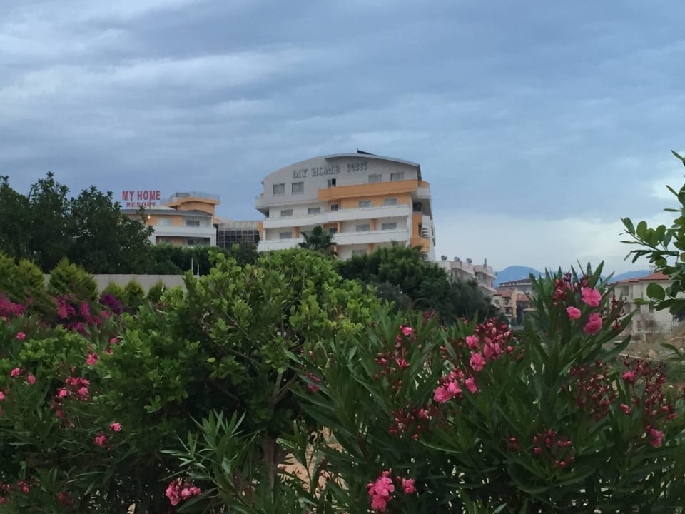 Blick vom Strandweg My Home Resort