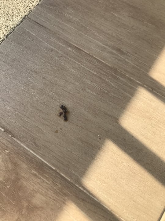 Zimmer Pullman Phuket Arcadia Naithon Beach