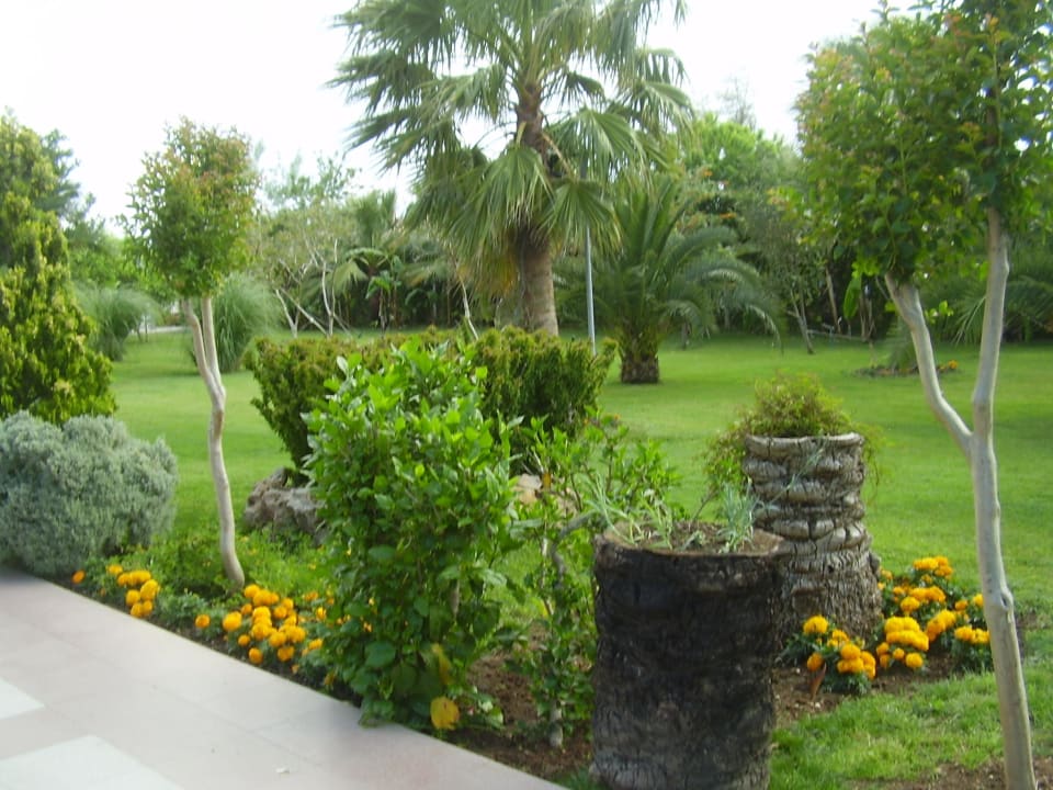 Überall grün und Blumen Belek Beach Resort Hotel