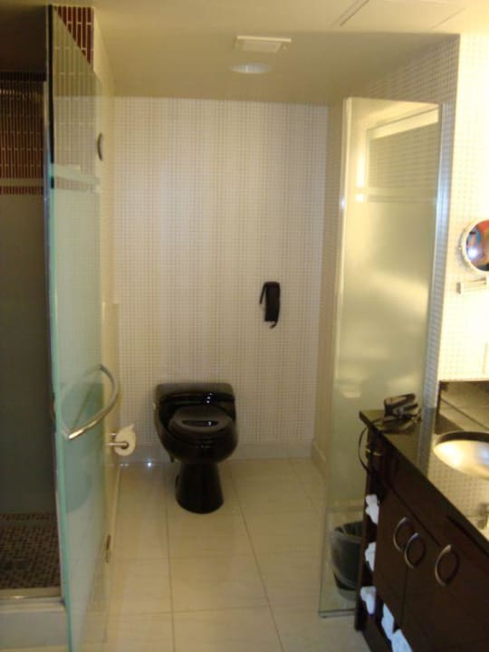 Toilette Hotel Elara - a Hilton Grand Vacations Hotel Center Strip