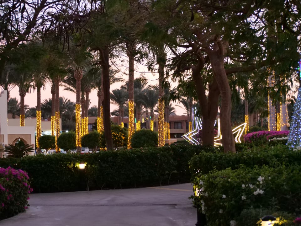 Gartenanlage Stella Beach Resort & Spa Makadi Bay