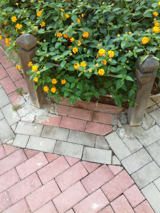 Sonstiges Seaden Sea World Resort & Spa