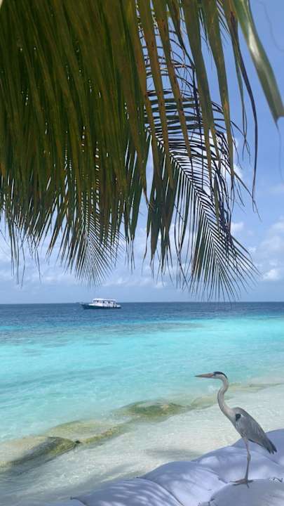 Strand Adaaran Club Rannalhi - All Inclusive