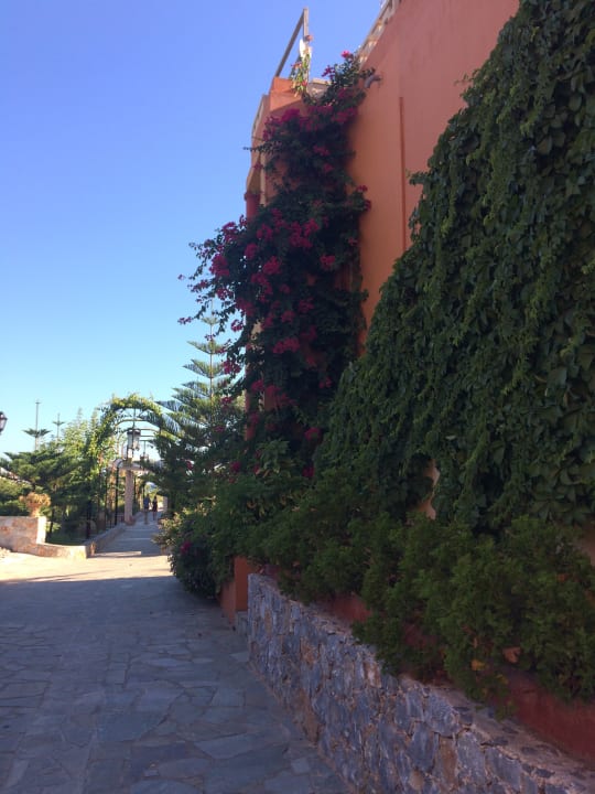 Gartenanlage Orpheas Resort - Adults Only