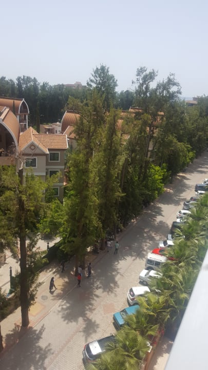 Ausblick Dizalya Palm Garden