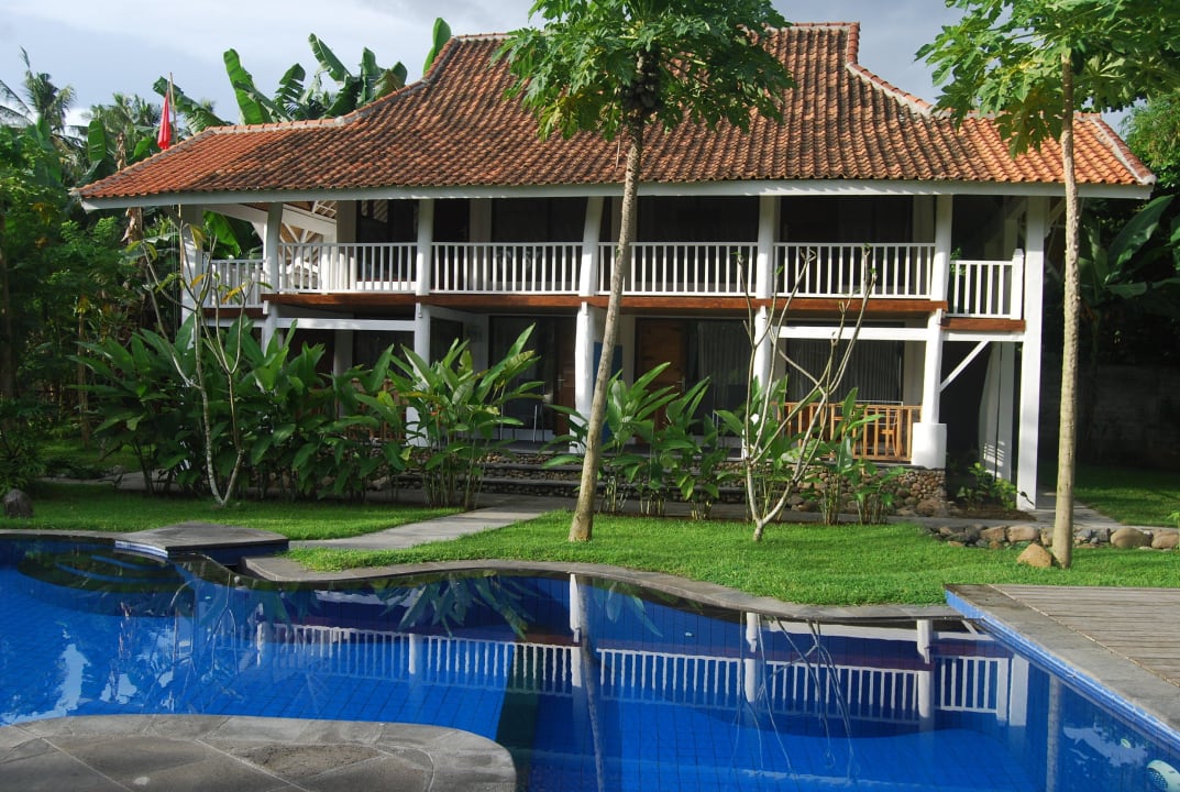 Gästehaus und Pool Guesthouse Pondok Anggrek Putih