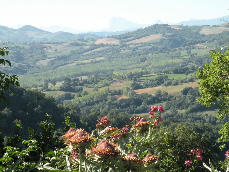 Ausblick Ferienhaus Il Rustico