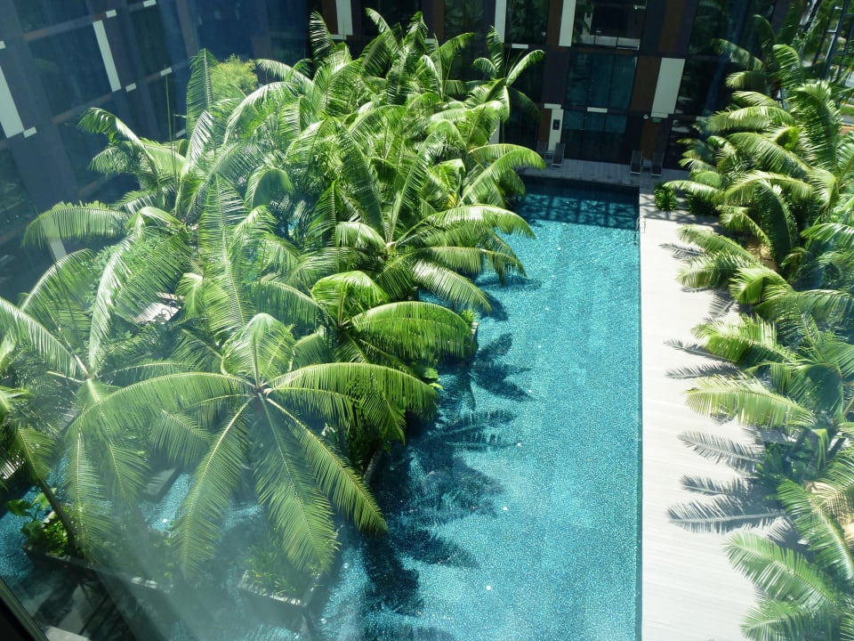 Ausblick vom Zimmer zum Pool Hotel Crowne Plaza Changi Airport