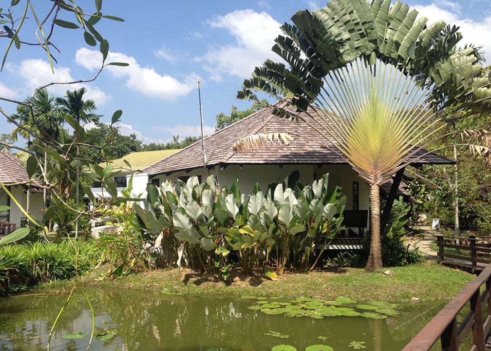 Viele verschiedene Palmen Peace Laguna Resort and Spa