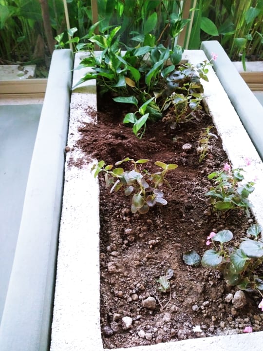 Gastro Can Garden Resort