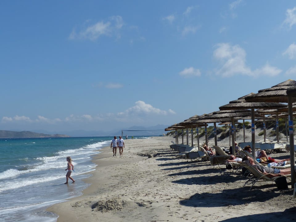 Liegen inclusive TUI BLUE Palazzo del Mare