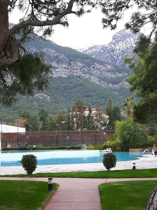 Pool TUI MAGIC LIFE Beldibi +16