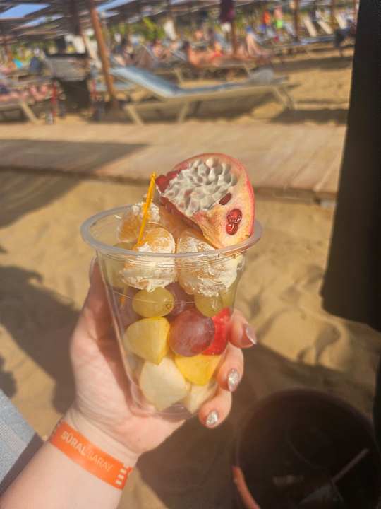 Gastro Süral Saray Hotel