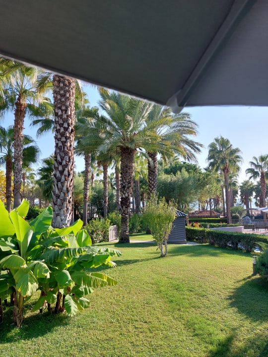 Gartenanlage Hotel Miramare Beach