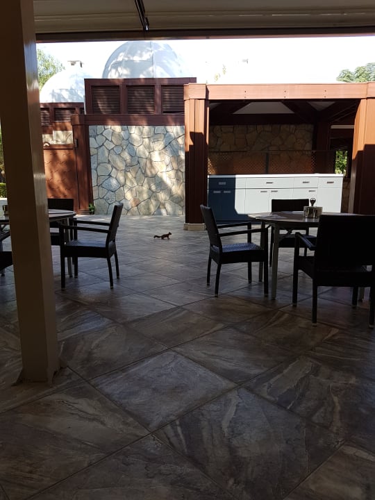 Gastro Xanadu Resort Hotel