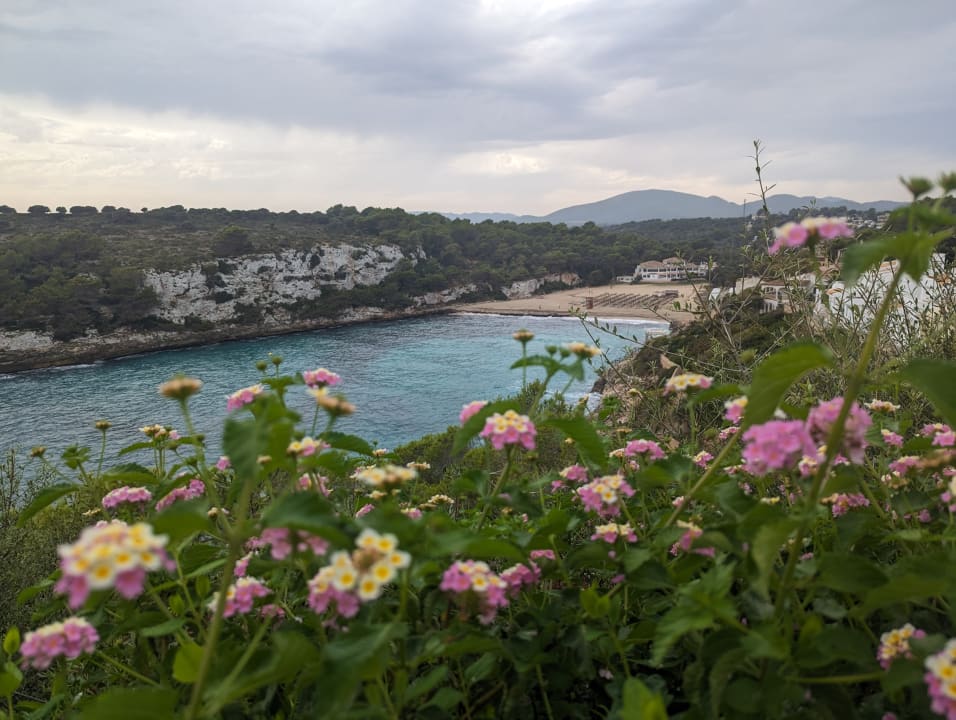 Strand blau punta reina