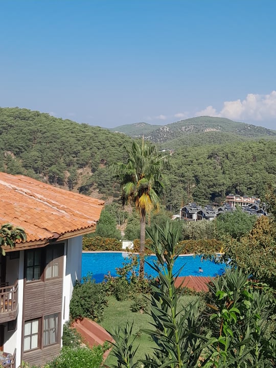 Pool Montana Pine Resort