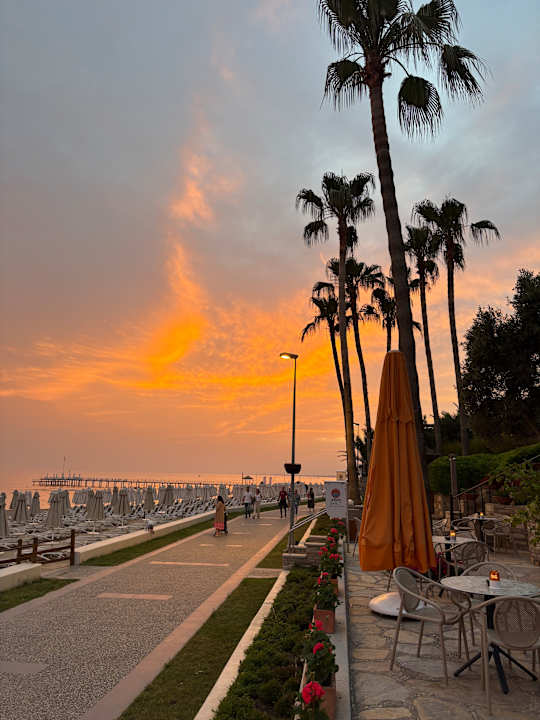 Strand Arum Barut Collection